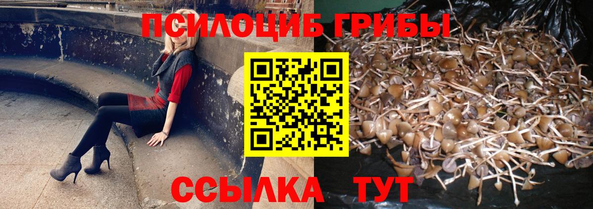 Владимир  Галлюциногенные грибы MAGIC MUSHROOMS  Вход с VPN 